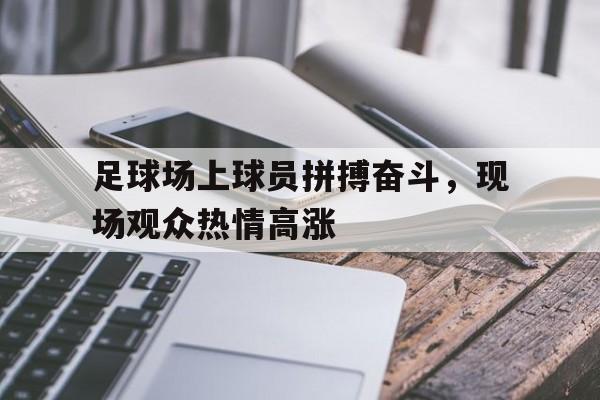 足球场上球员拼搏奋斗，现场观众热情高涨